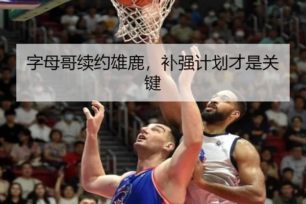 字母哥续约雄鹿，补强计划才是关键